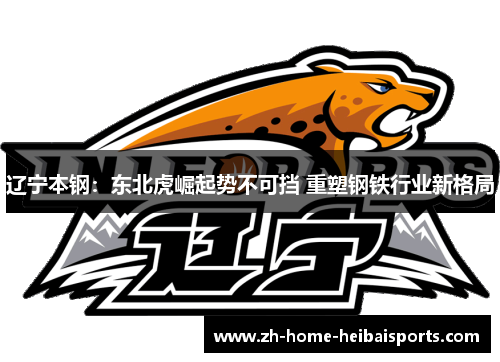 辽宁本钢：东北虎崛起势不可挡 重塑钢铁行业新格局